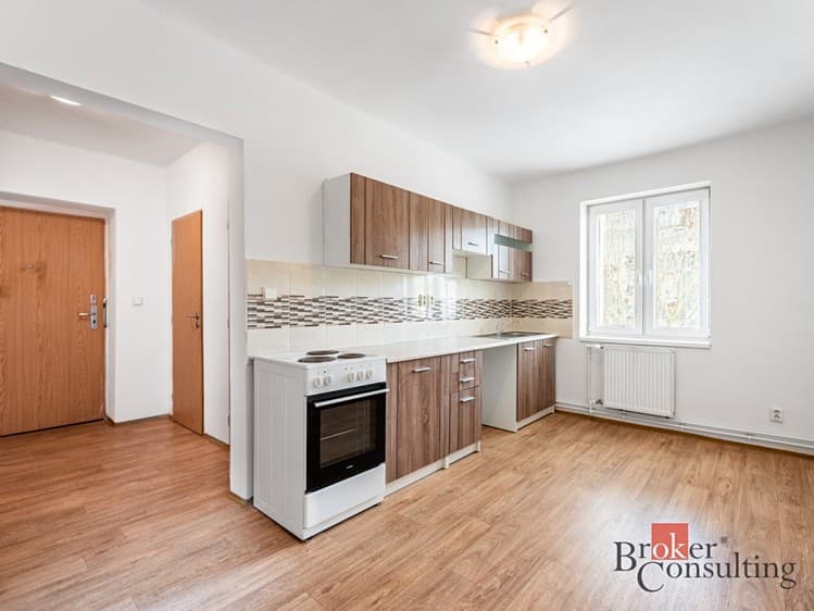 Prodej bytu 1+1 41 m²