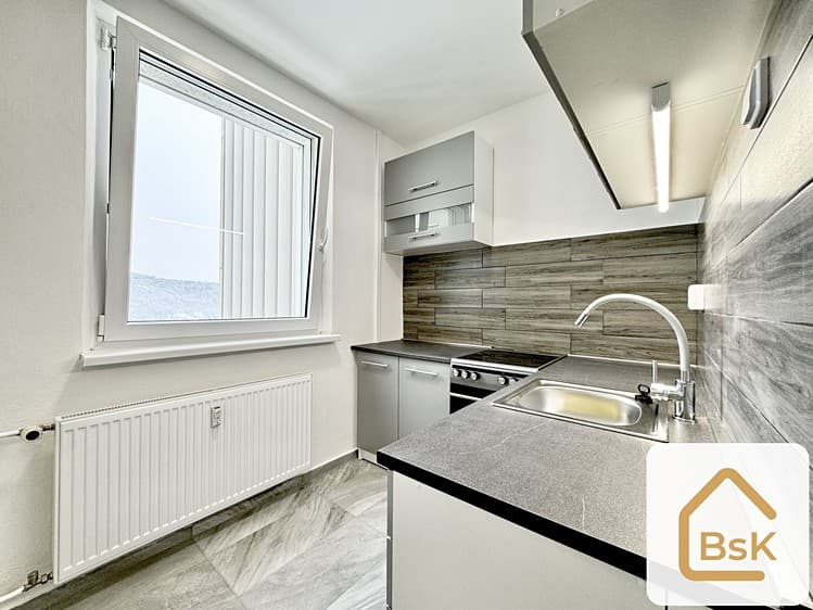 Pronájem bytu 1+1 39 m² (Jednopodlažní)