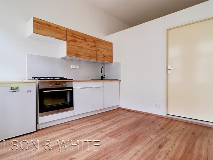 Pronájem bytu 1+1 35 m² (Jednopodlažní)