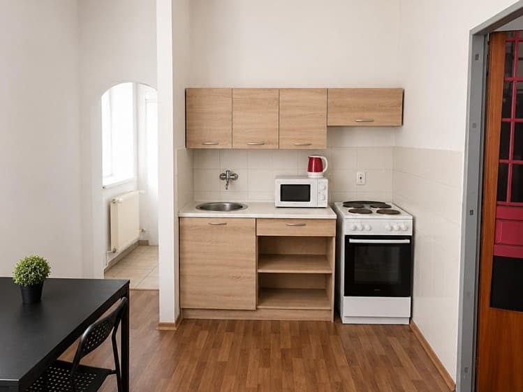 Pronájem bytu 2+kk 42 m² (Jednopodlažní)