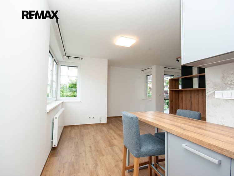 Pronájem bytu 1+kk 45 m²