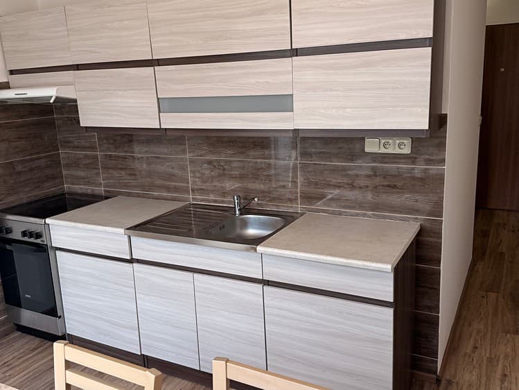 Pronájem bytu 1+1 45 m² (Jednopodlažní)