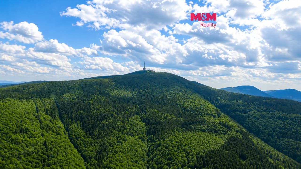 Prodej domu 320 m²