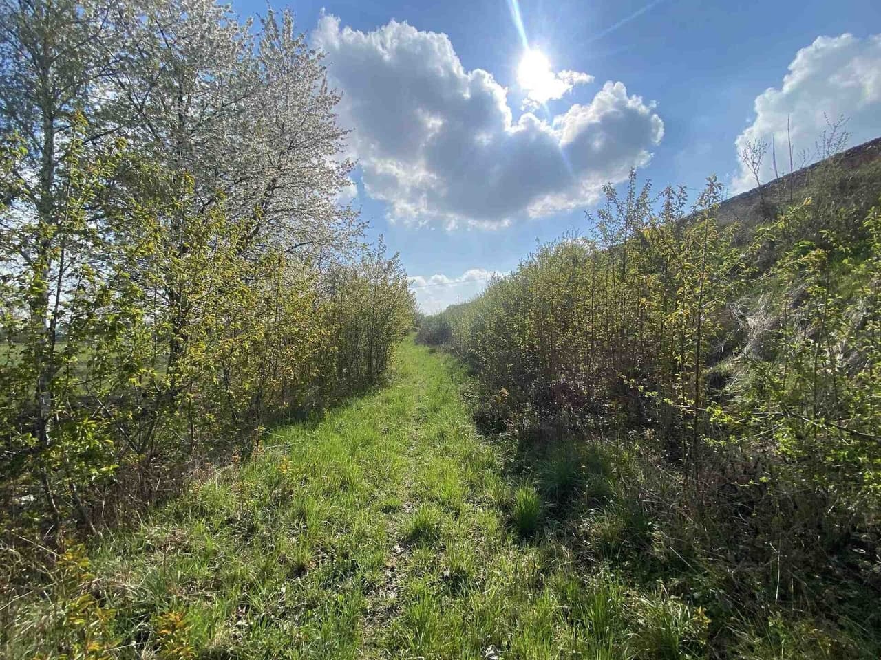 Prodej nemovitosti 3560 m²