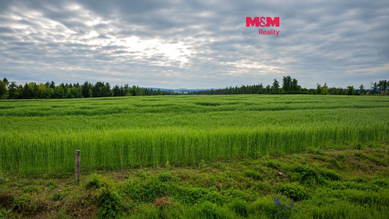 Prodej pozemku 241144 m²