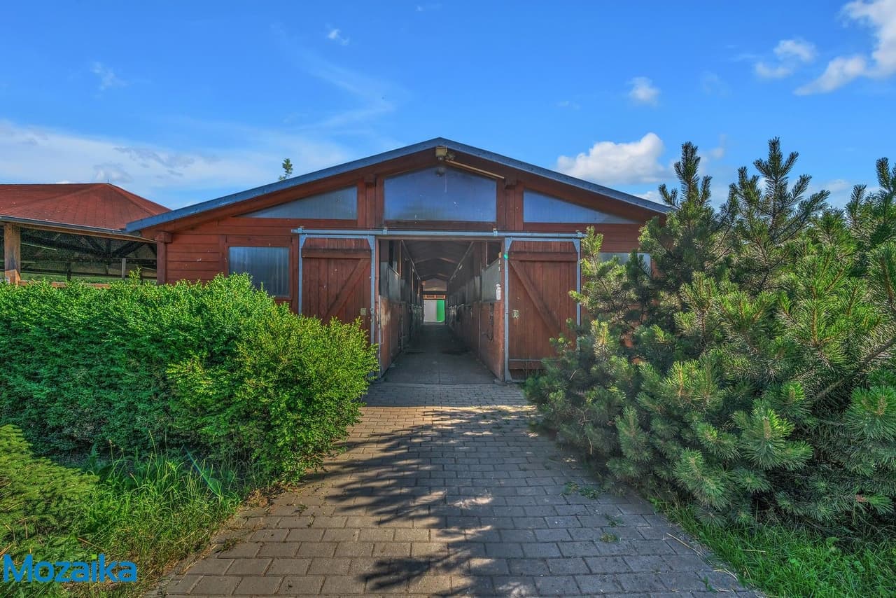 Pronájem domu 358 m²
