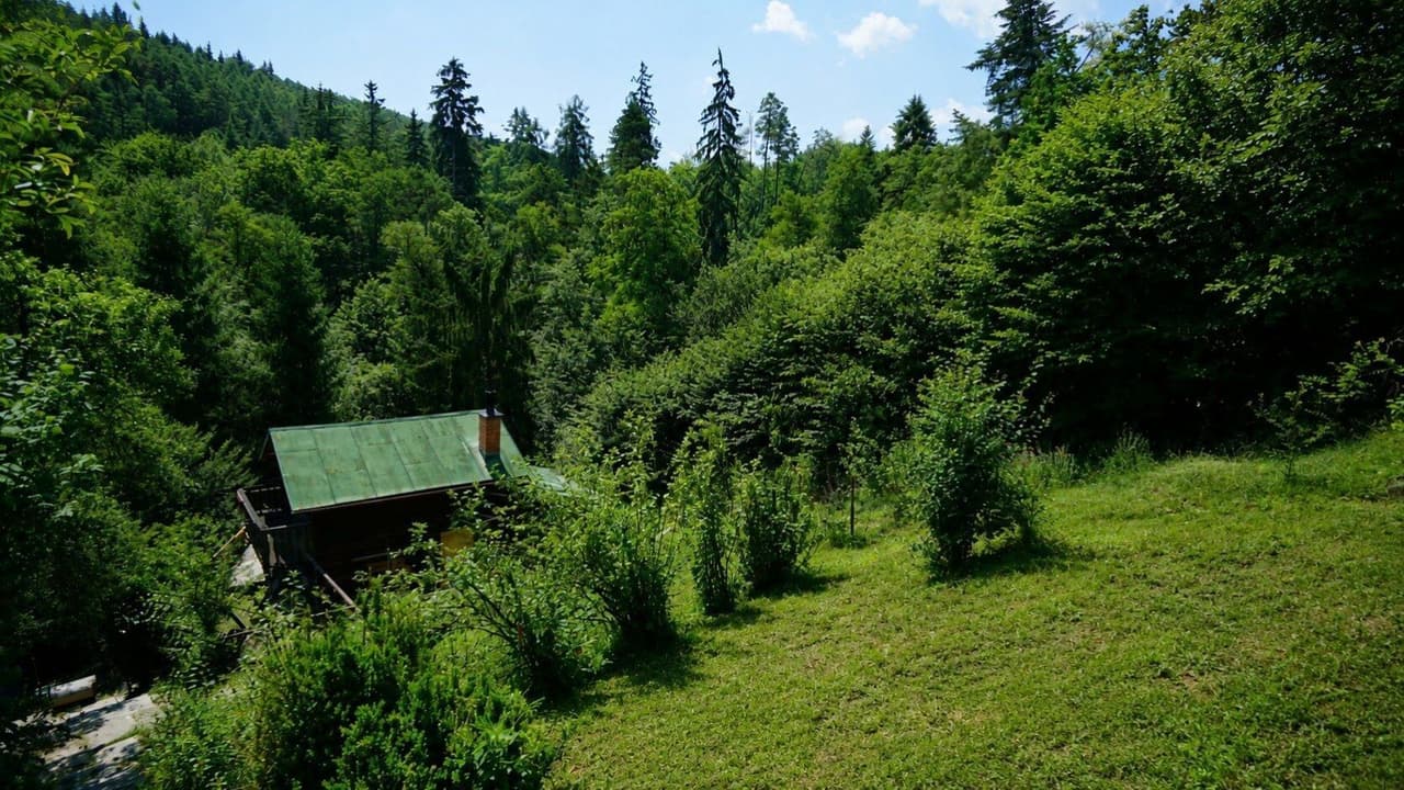 Prodej domu 48 m²