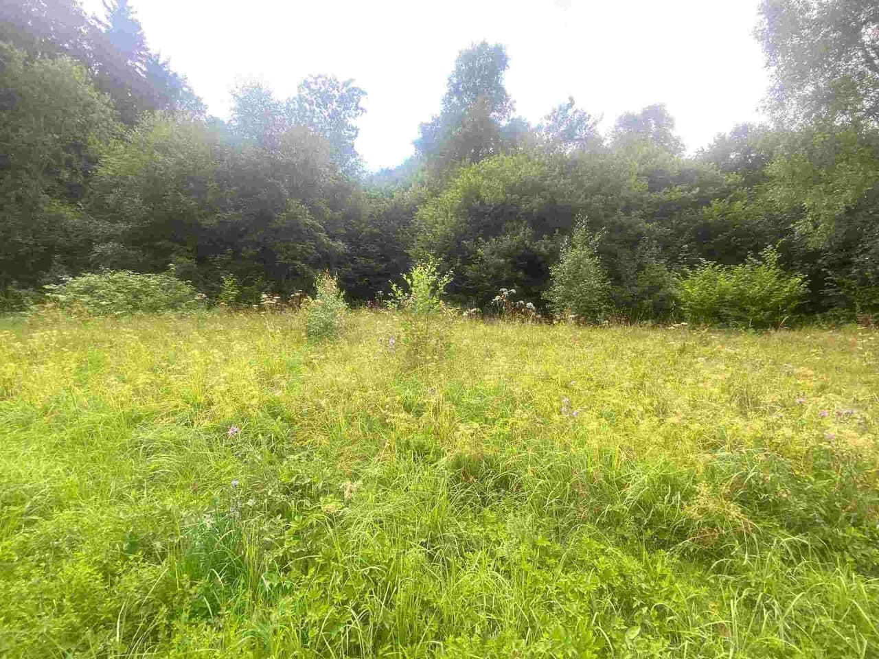 Prodej pozemku 1004 m²