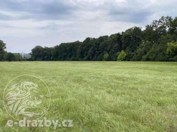 Prodej pozemku 83999 m²