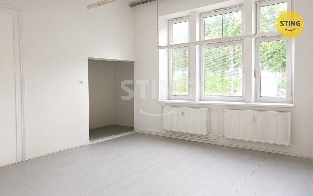 Pronájem komerčního prostoru 41 m²