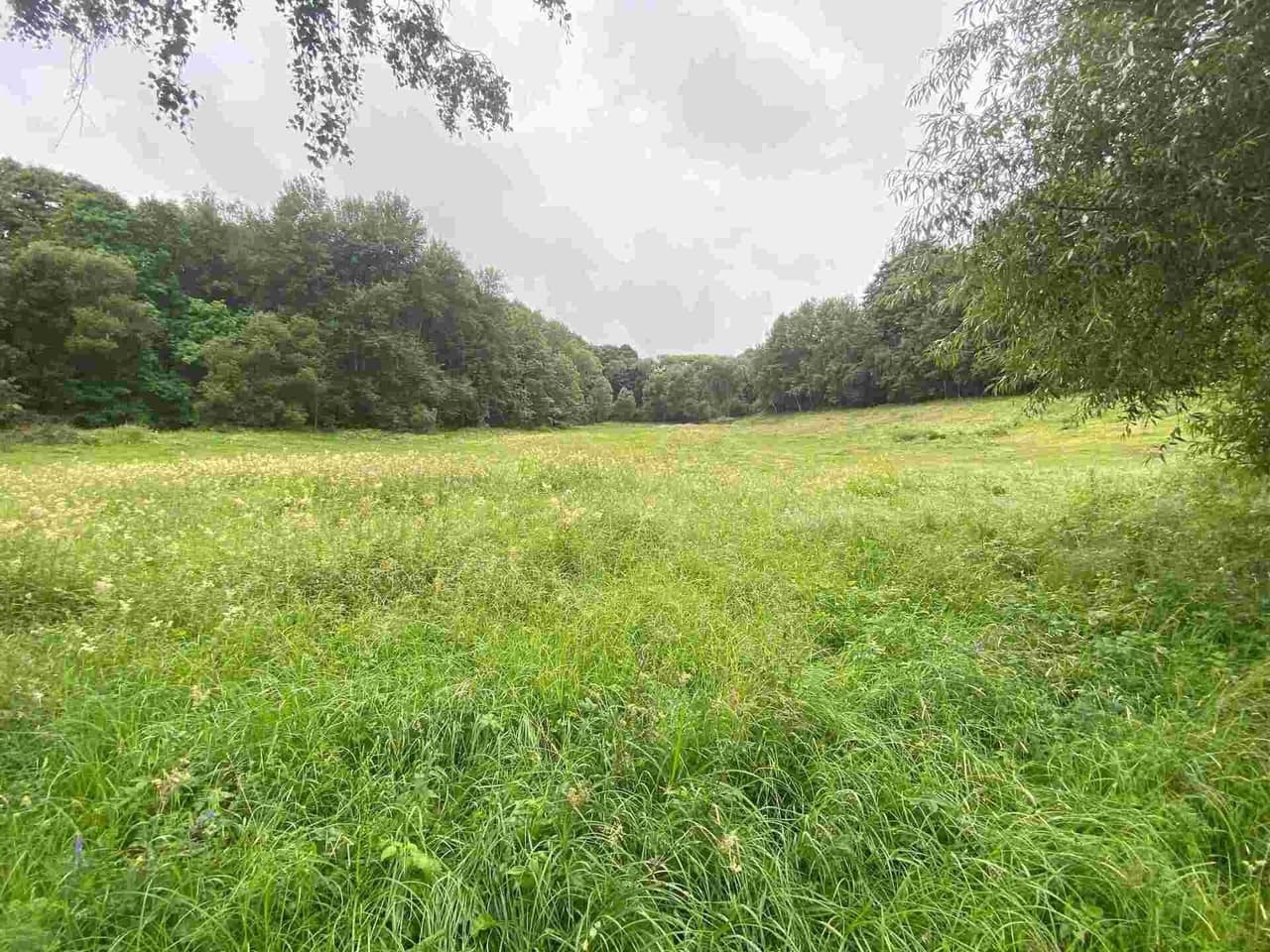 Prodej nemovitosti 1500 m²