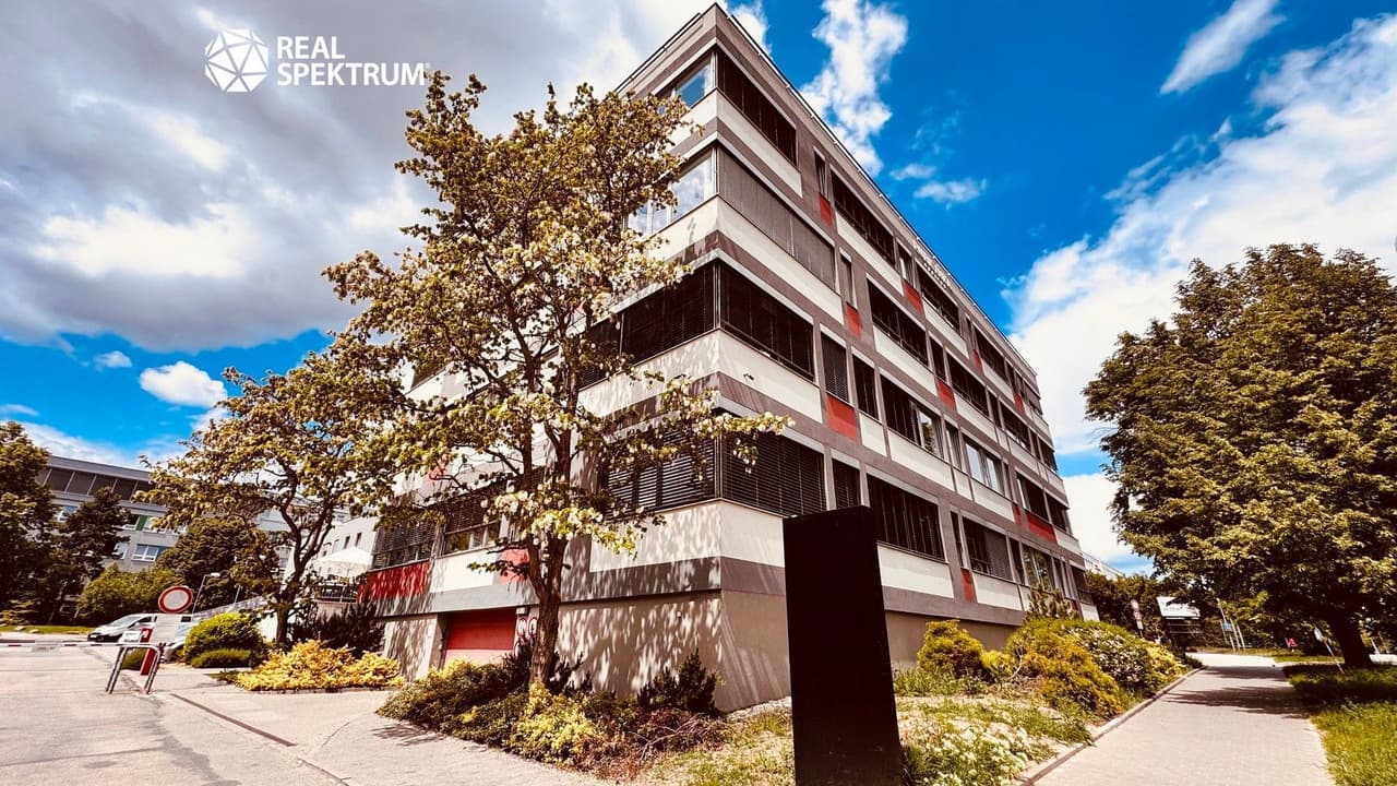 Pronájem komerčního prostoru 539 m²