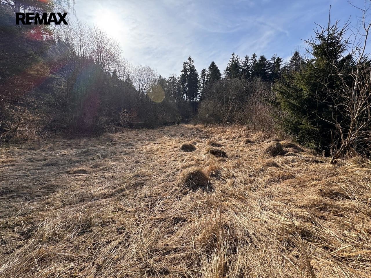 Prodej pozemku 3780 m²