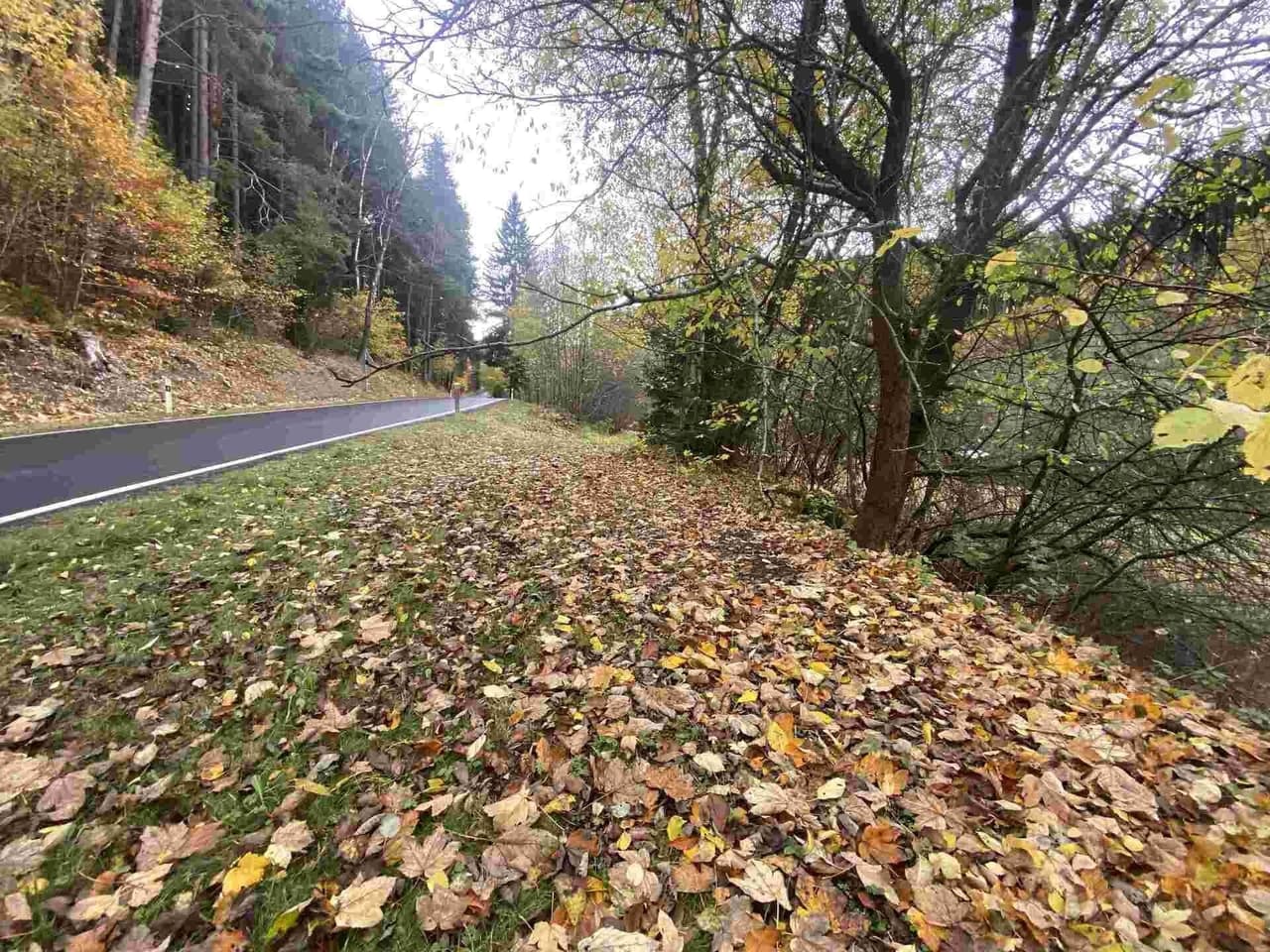Prodej nemovitosti 1223 m²