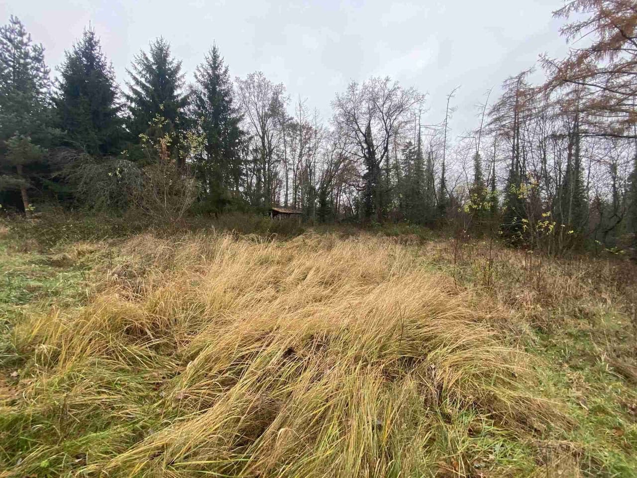 Prodej pozemku 1589 m²