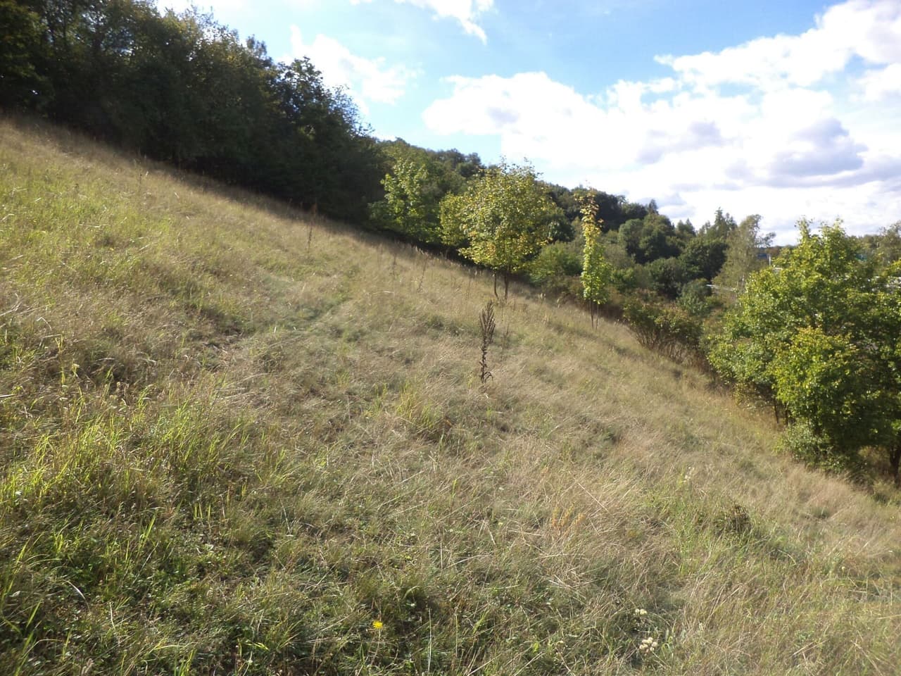 Prodej pozemku 1711 m²