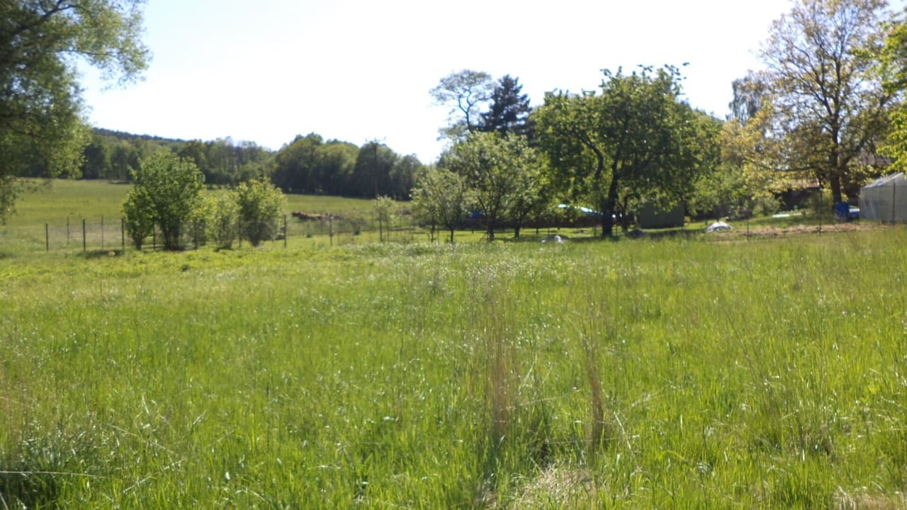 Prodej pozemku 2931 m²