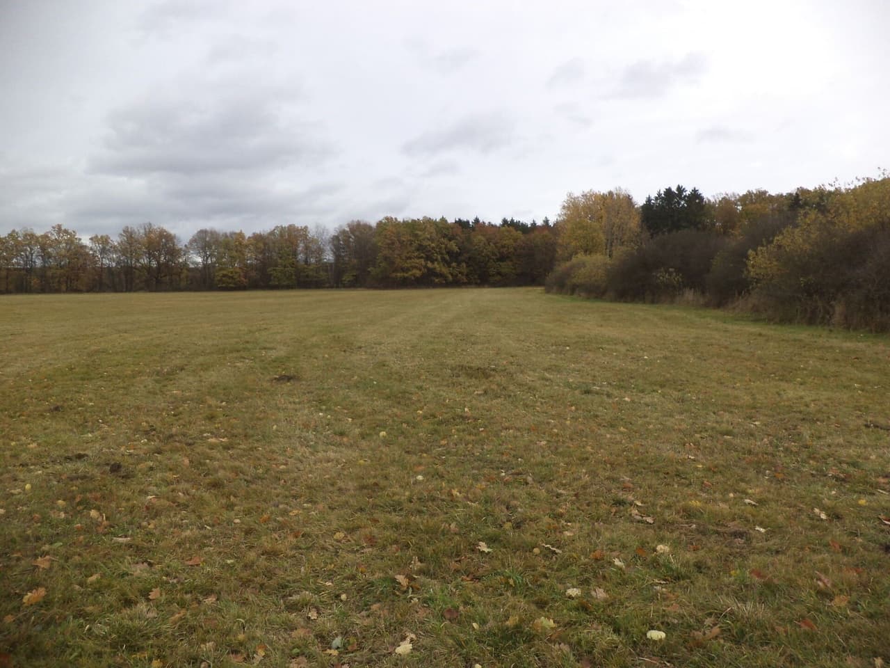 Prodej pozemku 26461 m²