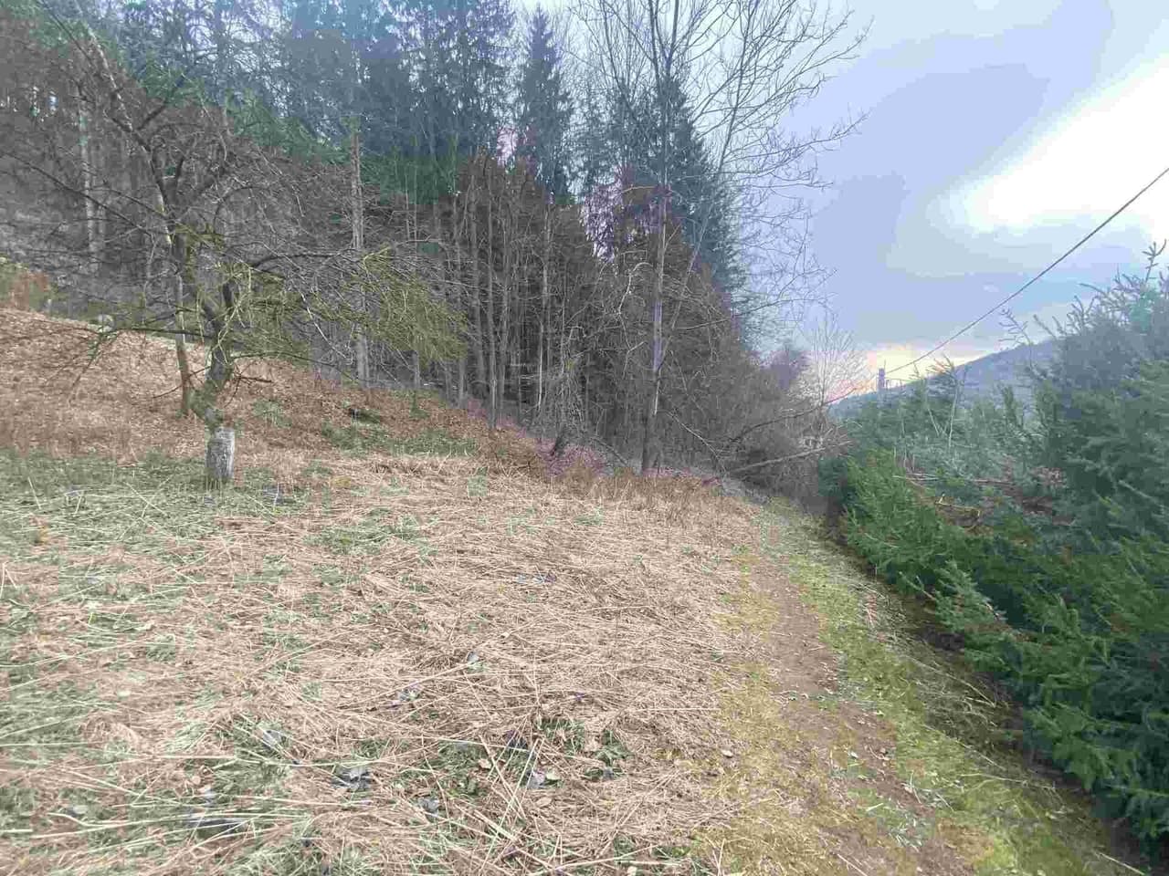Prodej nemovitosti 903 m²