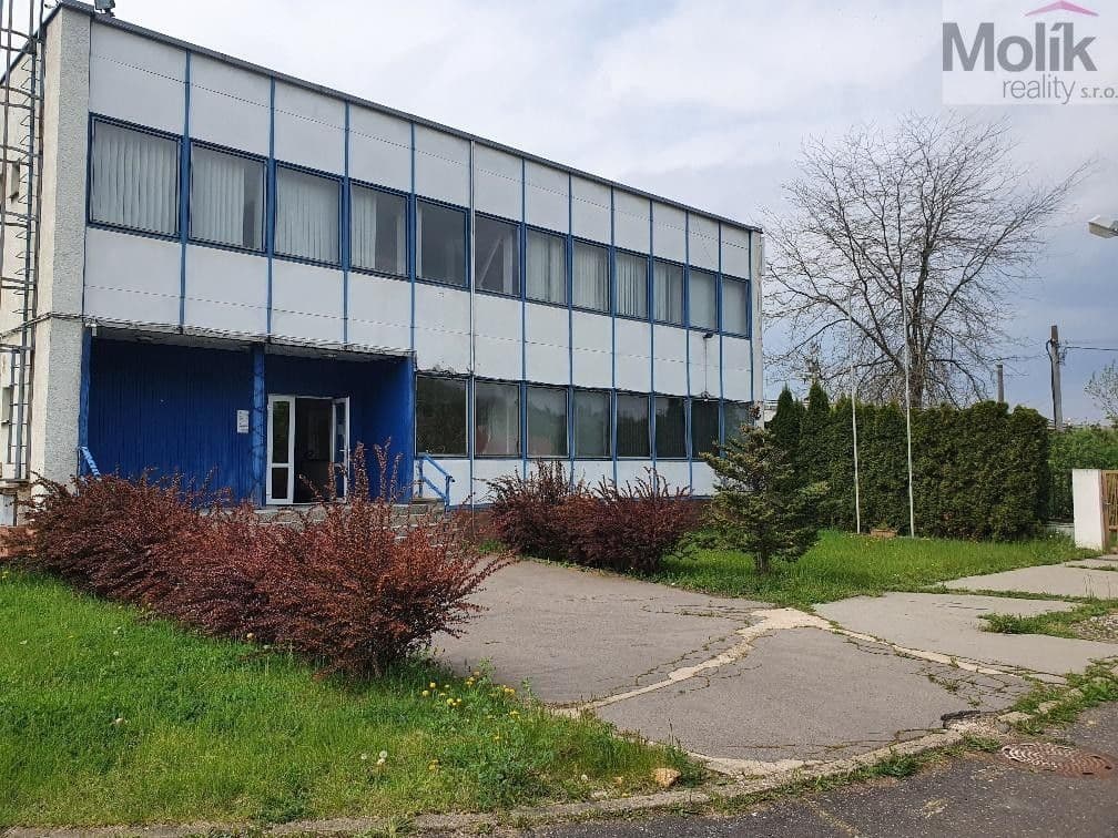 Pronájem nemovitosti 400 m²