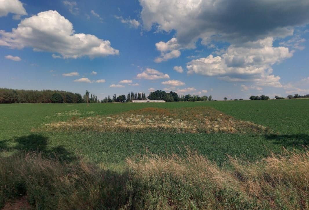 Prodej pozemku 1434 m²