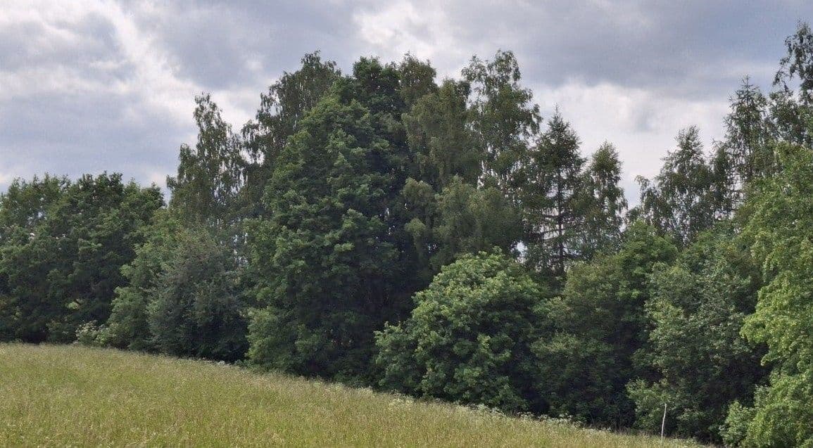 Prodej nemovitosti