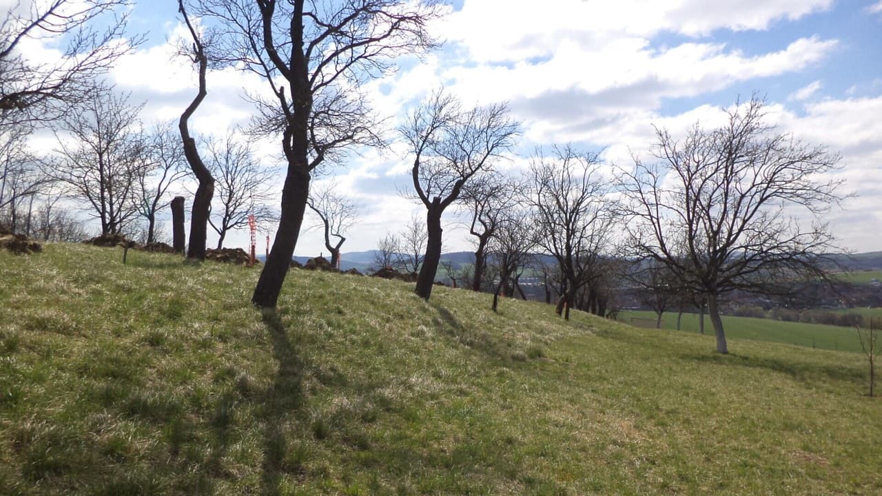 Prodej nemovitosti 984 m²