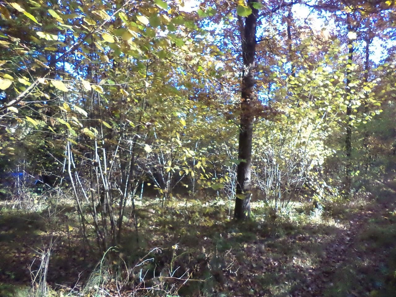 Prodej nemovitosti 2102 m²