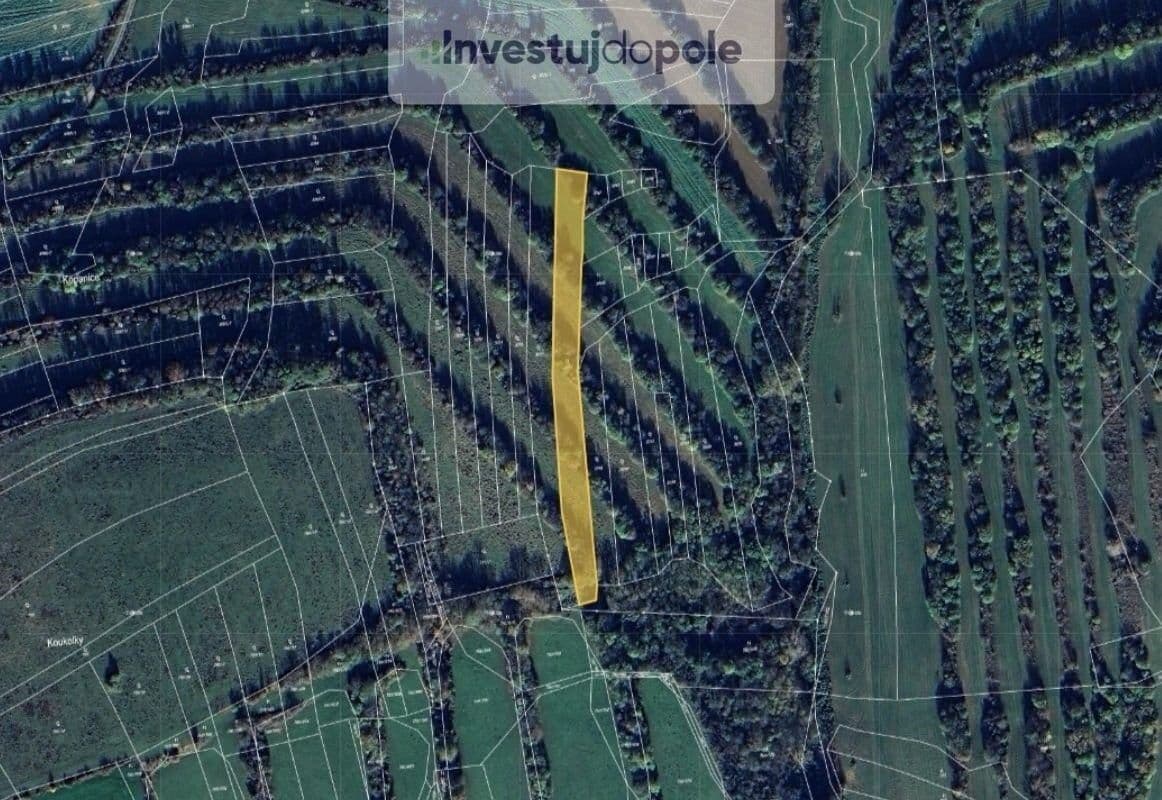 Prodej nemovitosti 1286 m²