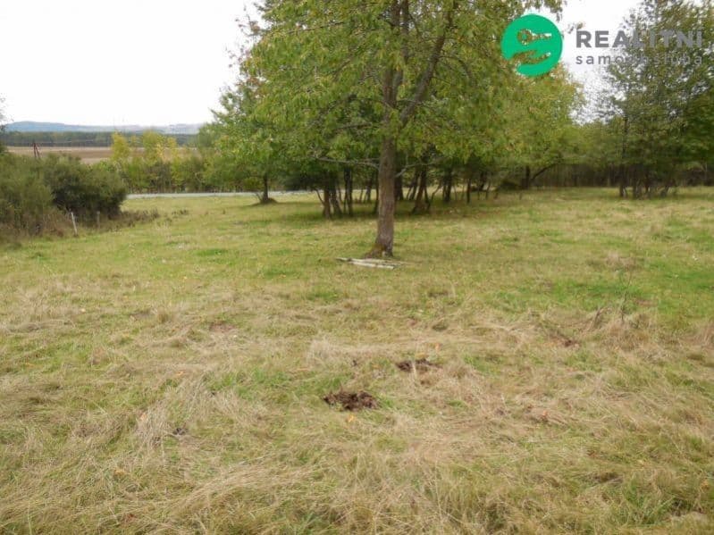 Prodej pozemku 2000 m²
