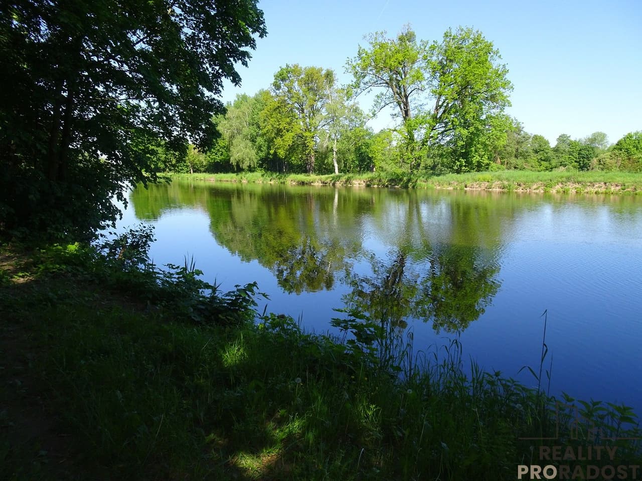 Prodej nemovitosti 3115 m²