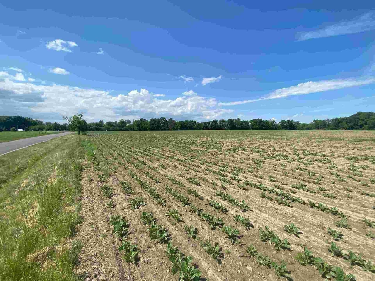 Prodej nemovitosti 1696 m²