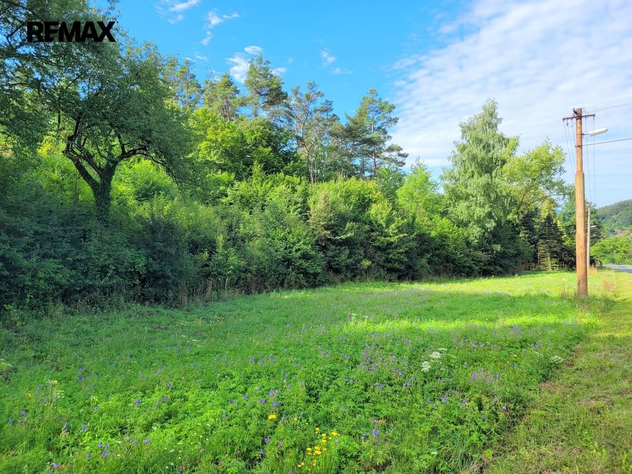 Prodej pozemku 3885 m²