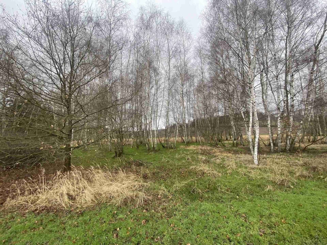 Prodej nemovitosti 10244 m²