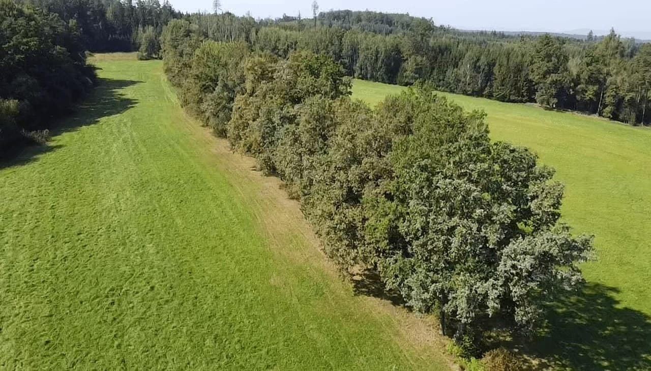 Prodej pozemku 4295 m²