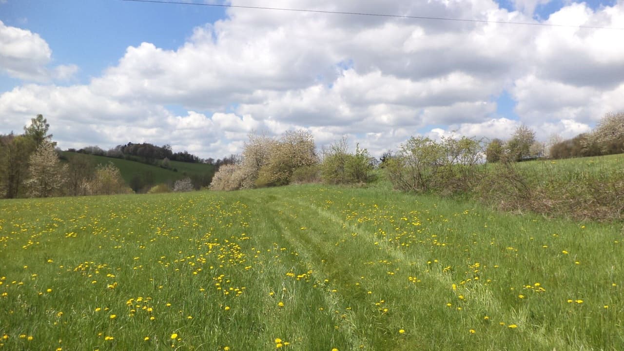 Prodej nemovitosti 5357 m²