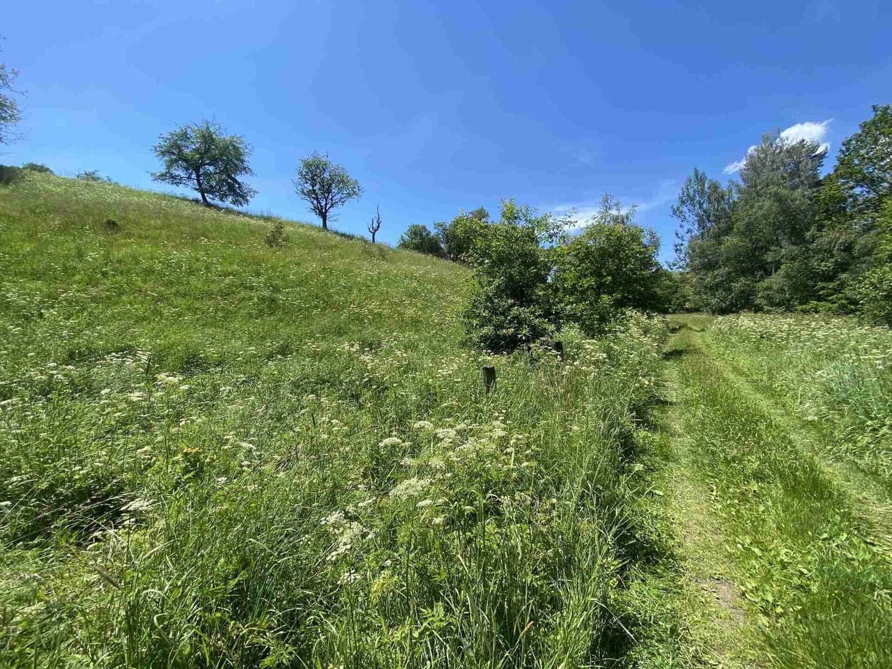 Prodej nemovitosti 9140 m²
