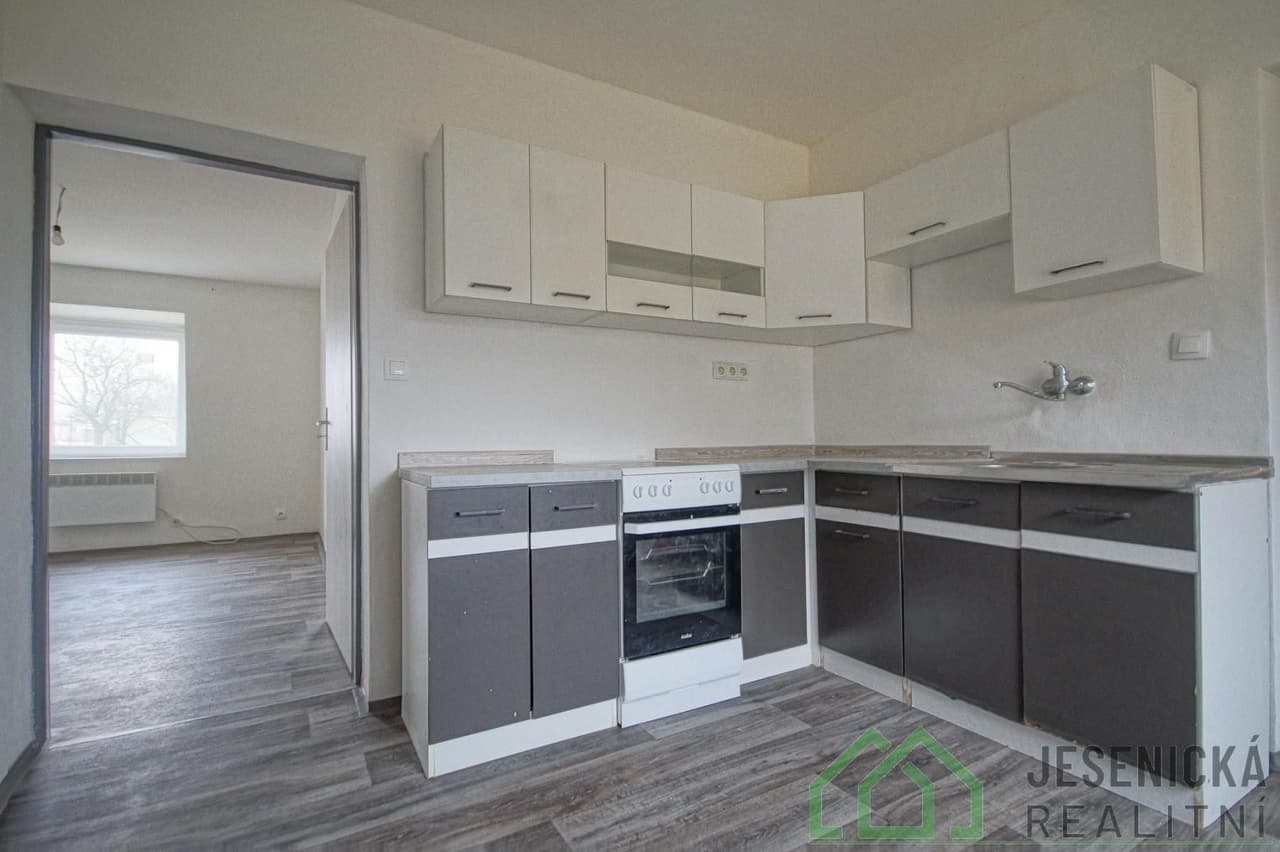 Pronájem bytu 1+1 42 m²
