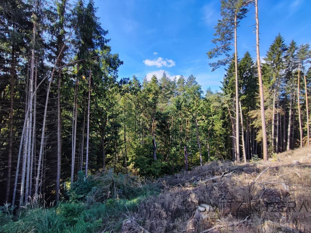 Prodej pozemku 233155 m²