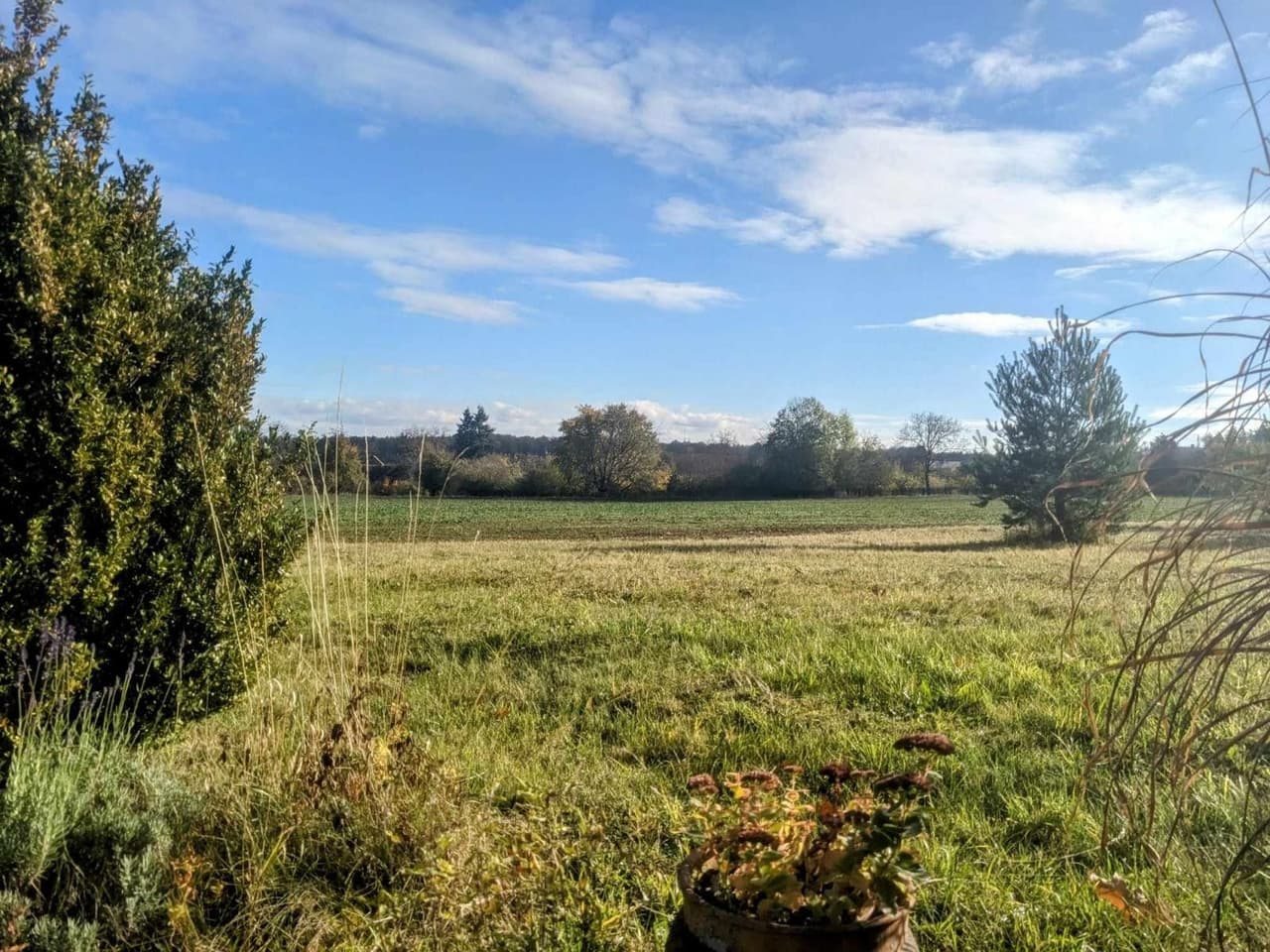 Prodej pozemku 1454 m²