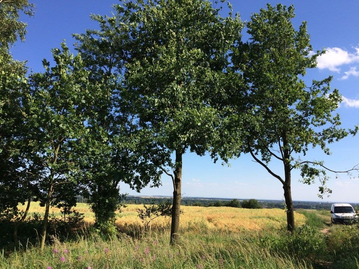 Pronájem pozemku 4200 m²