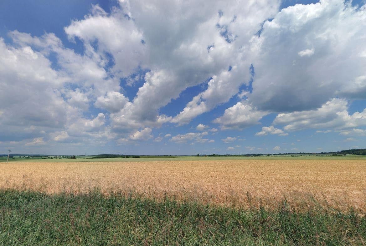 Prodej pozemku 17261 m²