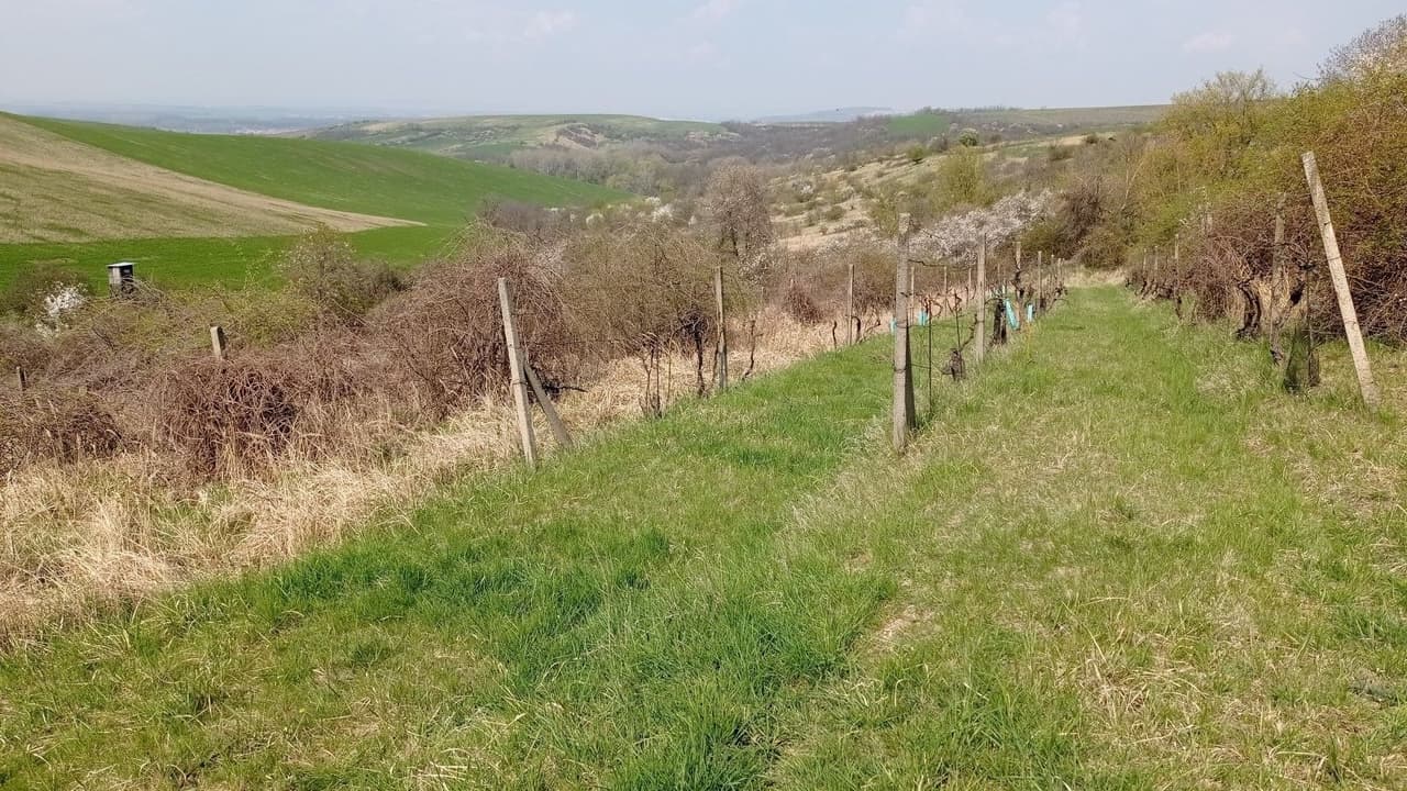 Prodej nemovitosti 6023 m²