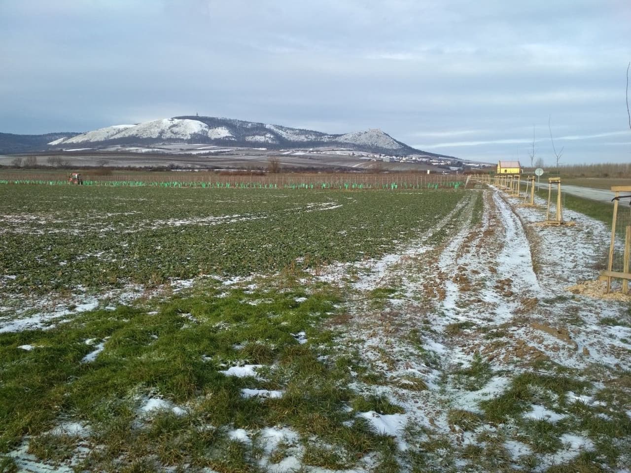 Prodej nemovitosti 29901 m²