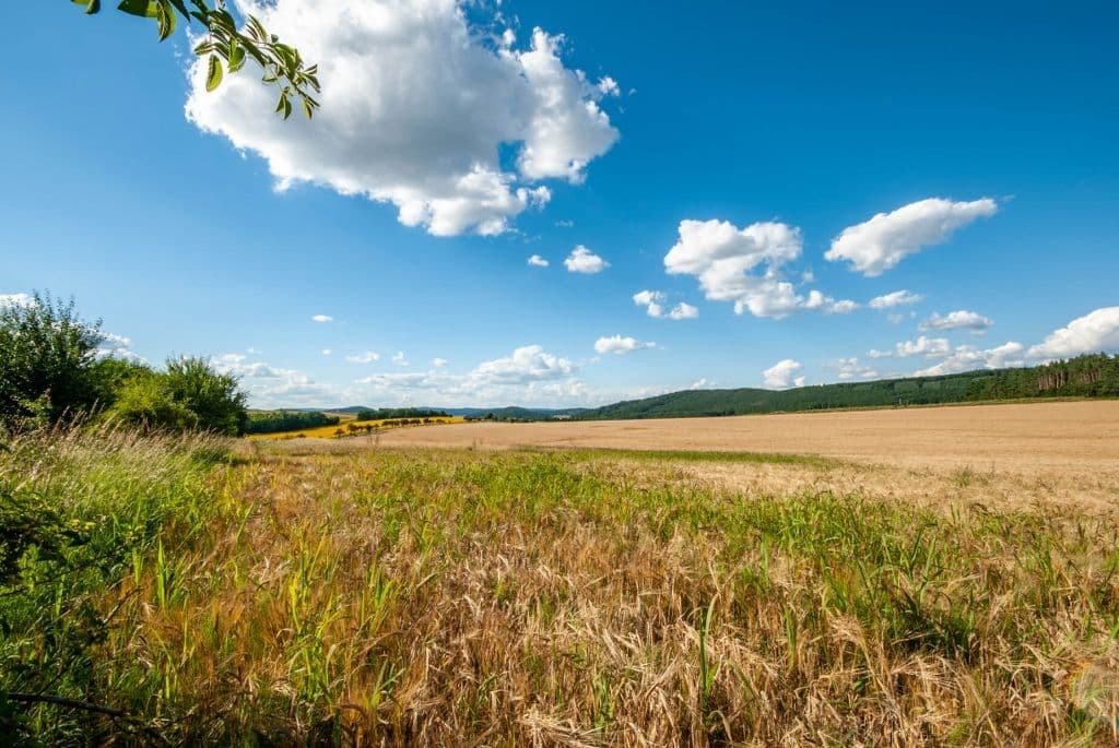 Prodej pozemku 1848 m²