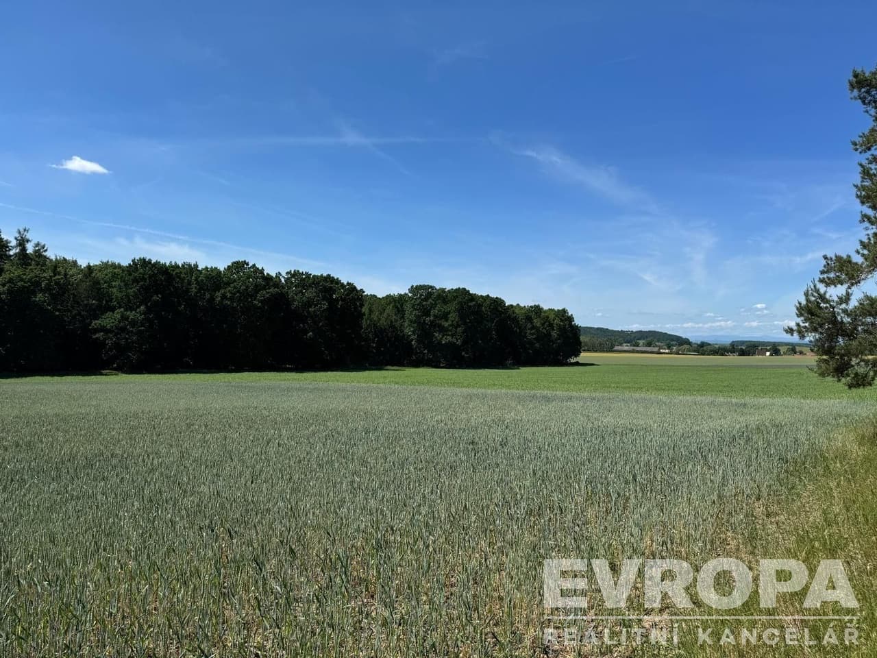 Prodej pozemku 7494 m²