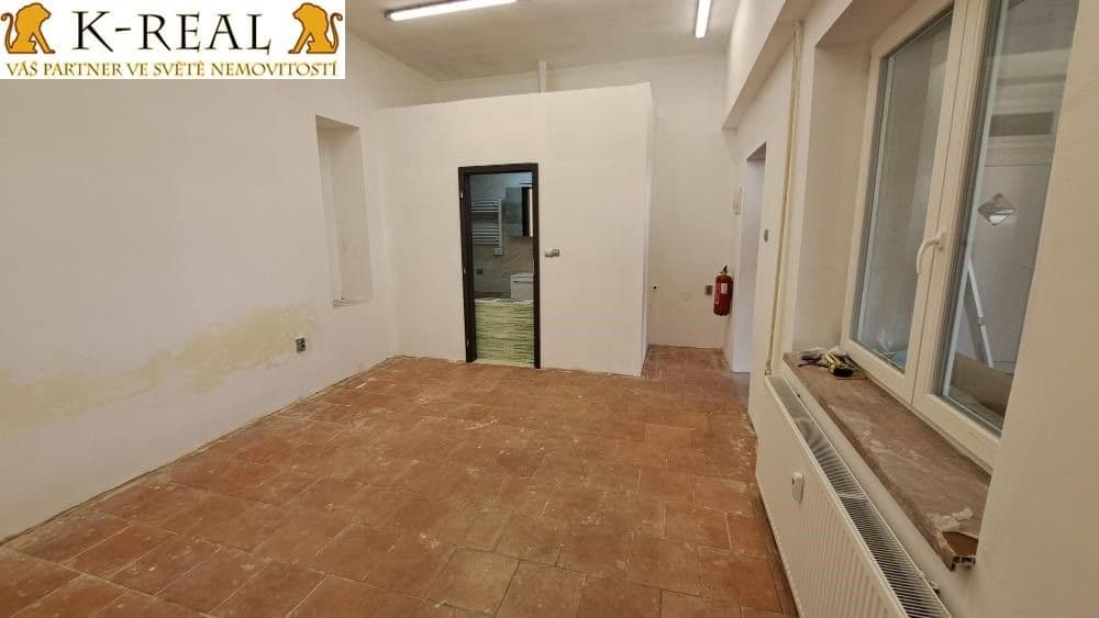 Pronájem bytu 1+1 30 m²
