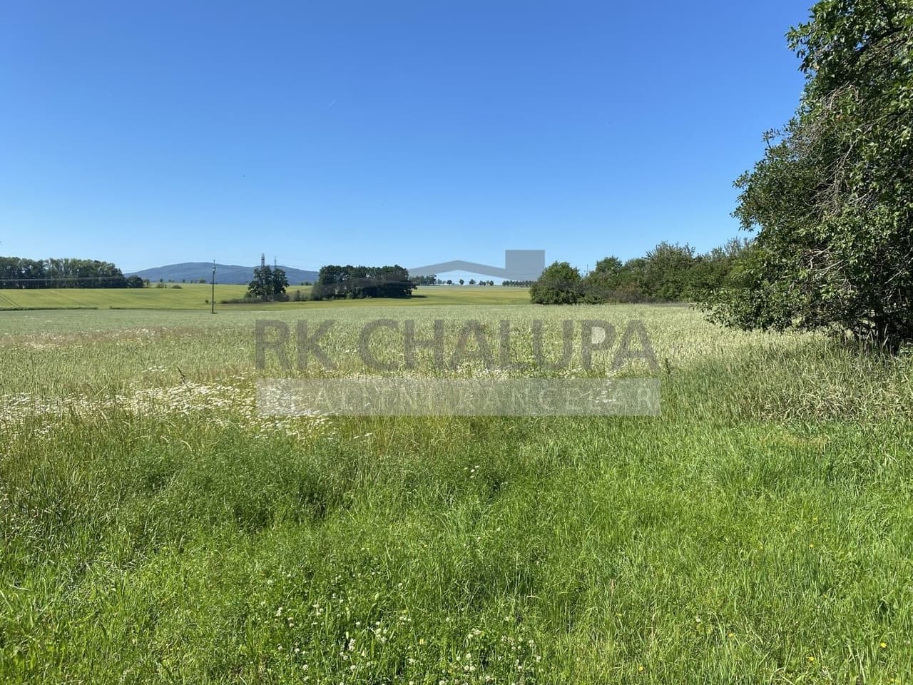 Prodej pozemku 3847 m²
